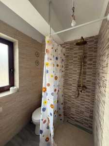 Apartament de Închiriere 2 camere, APCJ354702-13