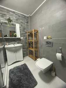 Apartament de Închiriere 2 camere, APCJ355027-7