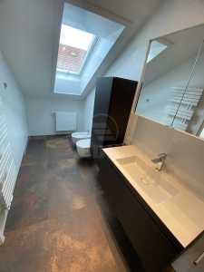 Casa de Închiriere 3 camere, CACJ354954-12