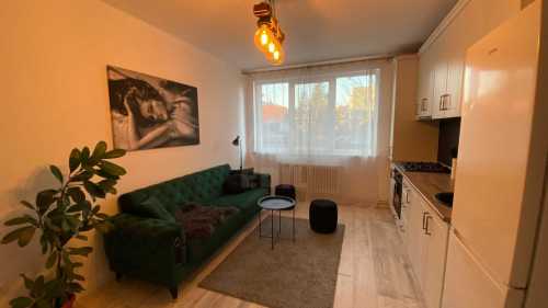 Apartament de Închiriere 3 camere, APCJ355692-2