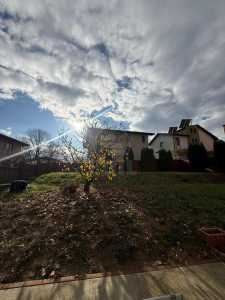 Apartament de Închiriere o camera, APCJ355805-12