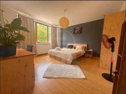 Apartament de Închiriere o camera, APCJ355849-1