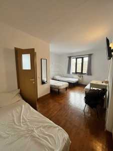 Pensiune de Închiriere 9 camere, PECJ355466-5