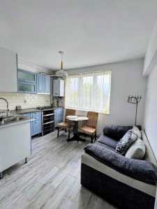 Apartament de Închiriere 2 camere, APCJ355539-3