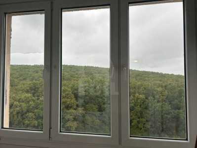 Garsoniera de Închiriere, GACJ355436-6