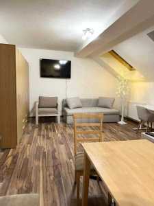 Apartament de Închiriere 2 camere, APCJ356255-3