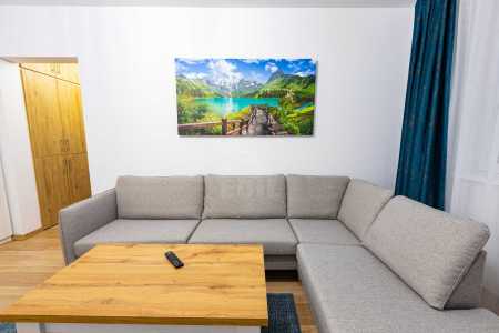 Apartament de Închiriere 2 camere, APCJ356183-13