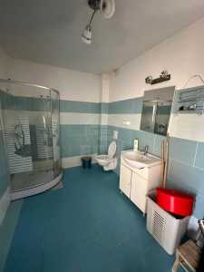 Casa de Închiriere 7 camere, CACJ356384-16