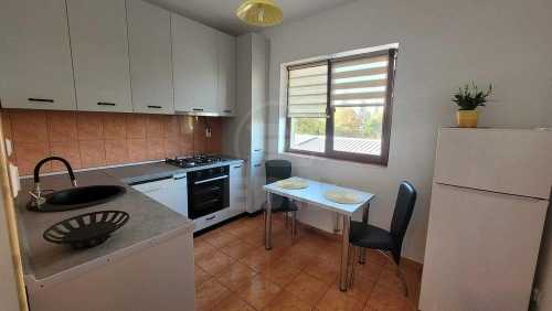 Apartament de Închiriere o camera, APCJ356324
