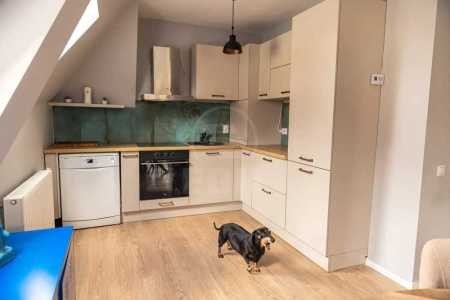 Apartament de Închiriere 3 camere, APCJ357006-2