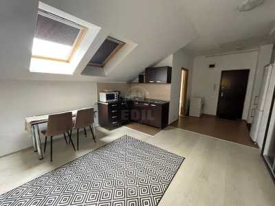 Apartament de Închiriere o camera, APCJ357207-3
