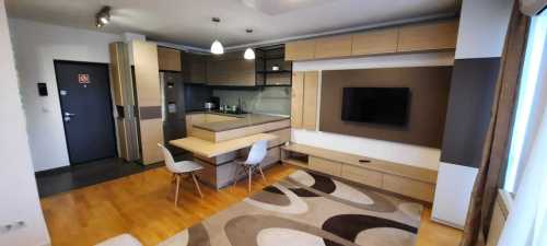 Apartament de Închiriere o camera, APCJ357165-11