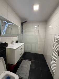 Apartament de Închiriere o camera, APCJ357426-3