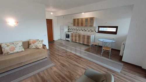 Apartament de Închiriere o camera, APCJ357317-4