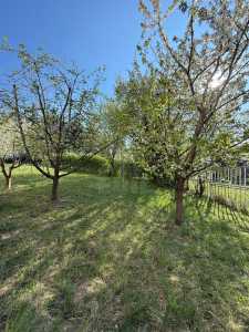 Apartament de Închiriere 2 camere, APCJ357746-14