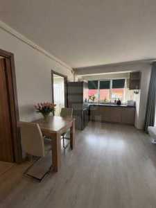 Apartament de Închiriere 2 camere, APCJ358037-4