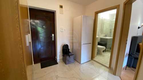 Apartament de Închiriere o camera, APCJ358304-12