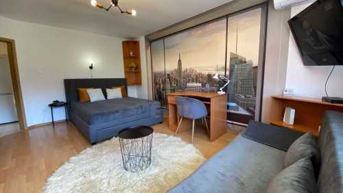 Apartament de Închiriere o camera, APCJ358304-1