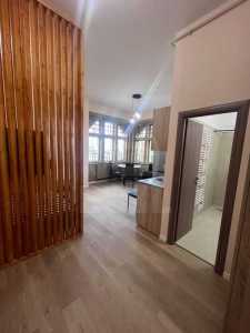 Apartament de Închiriere o camera, APCJ358053-3