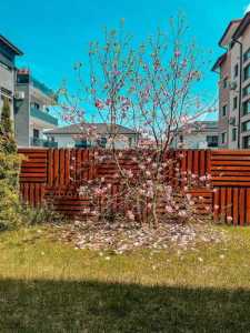 Apartament de Închiriere 2 camere, APCJ358112-12