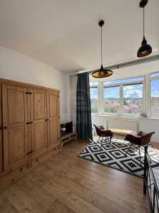 Apartament de Închiriere o camera, APCJ358535-10