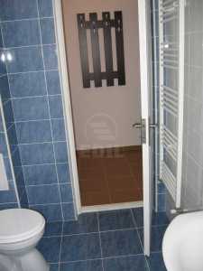 Apartament de Închiriere o camera, APCJ358413-10