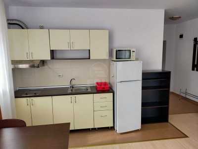 Apartament de Închiriere o camera, APCJ358413-2
