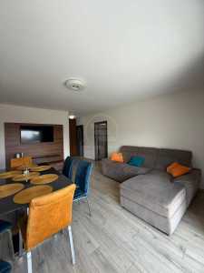 Apartament de Închiriere 2 camere, APCJ358375-14