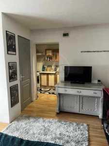 Apartament de Închiriere o camera, APCJ358824-3