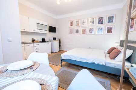 Apartament de Închiriere o camera, APCJ359700-8