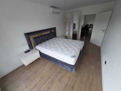 Apartament de Închiriere 4 camere, APCJ359678-2