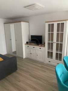 Apartament de Închiriere 2 camere, APCJ360193-1