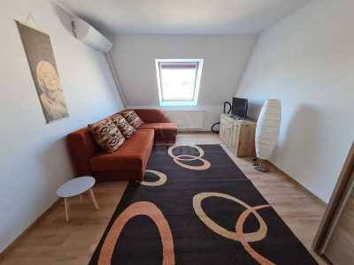 Apartament de Închiriere o camera, APCJ360051-8