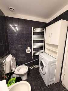 Apartament de Închiriere o camera, APCJ360143-10
