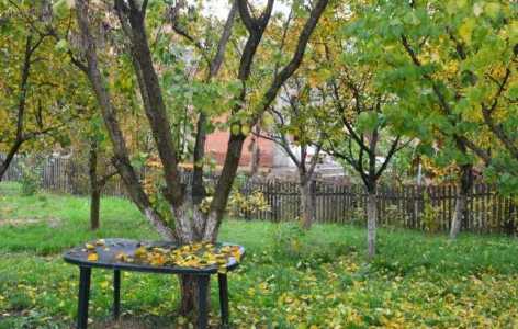 House for rent 7 rooms, CACJ208121-4