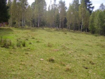 Land for sale, TECJ208440FLO-3