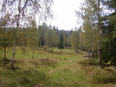 Land for sale, TECJ208440FLO-6