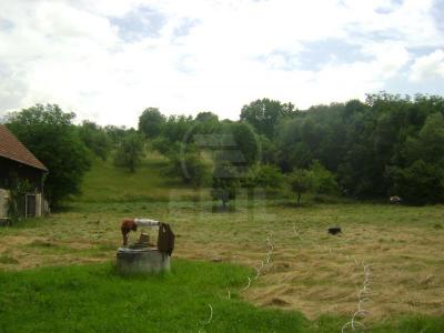 House for sale 3 rooms, CACJ218406-2