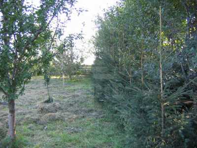 Land for sale, TECJ220656-3