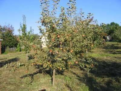 Land for sale, TECJ220656-7