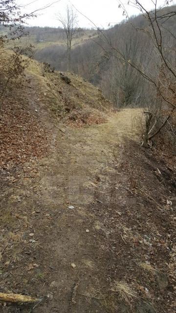 Land for sale, TECJ209581FLO-2