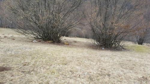 Land for sale, TECJ209581FLO-9