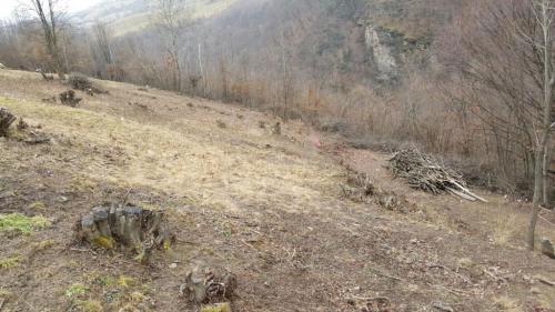 Land for sale, TECJ209581FLO-10