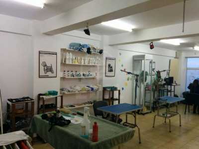 Office for sale 3 rooms, BICJ226297-5