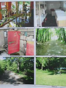 House for sale 14 rooms, CACJ226421-3