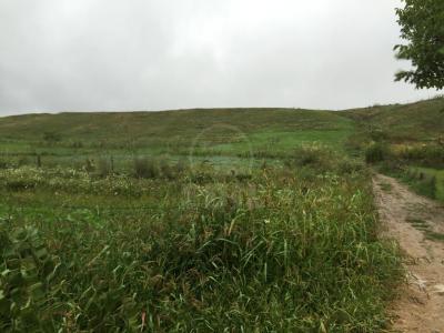 Land for sale, TECJ209876FLO-1