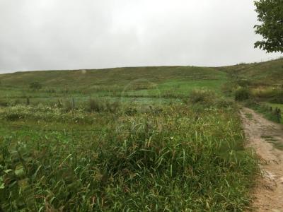 Land for sale, TECJ209876FLO-2