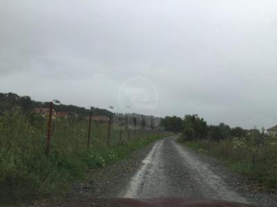 Land for sale, TECJ209876FLO-4