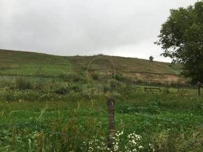 Land for sale, TECJ209876FLO-5