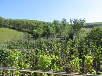 Guest house for sale 8 rooms, PECJ280034-25